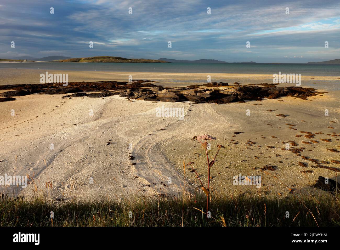 The Cockle Strand, Traigh Mhor Beach, Isle of barra, Outer Hebrides, Scozia Foto Stock