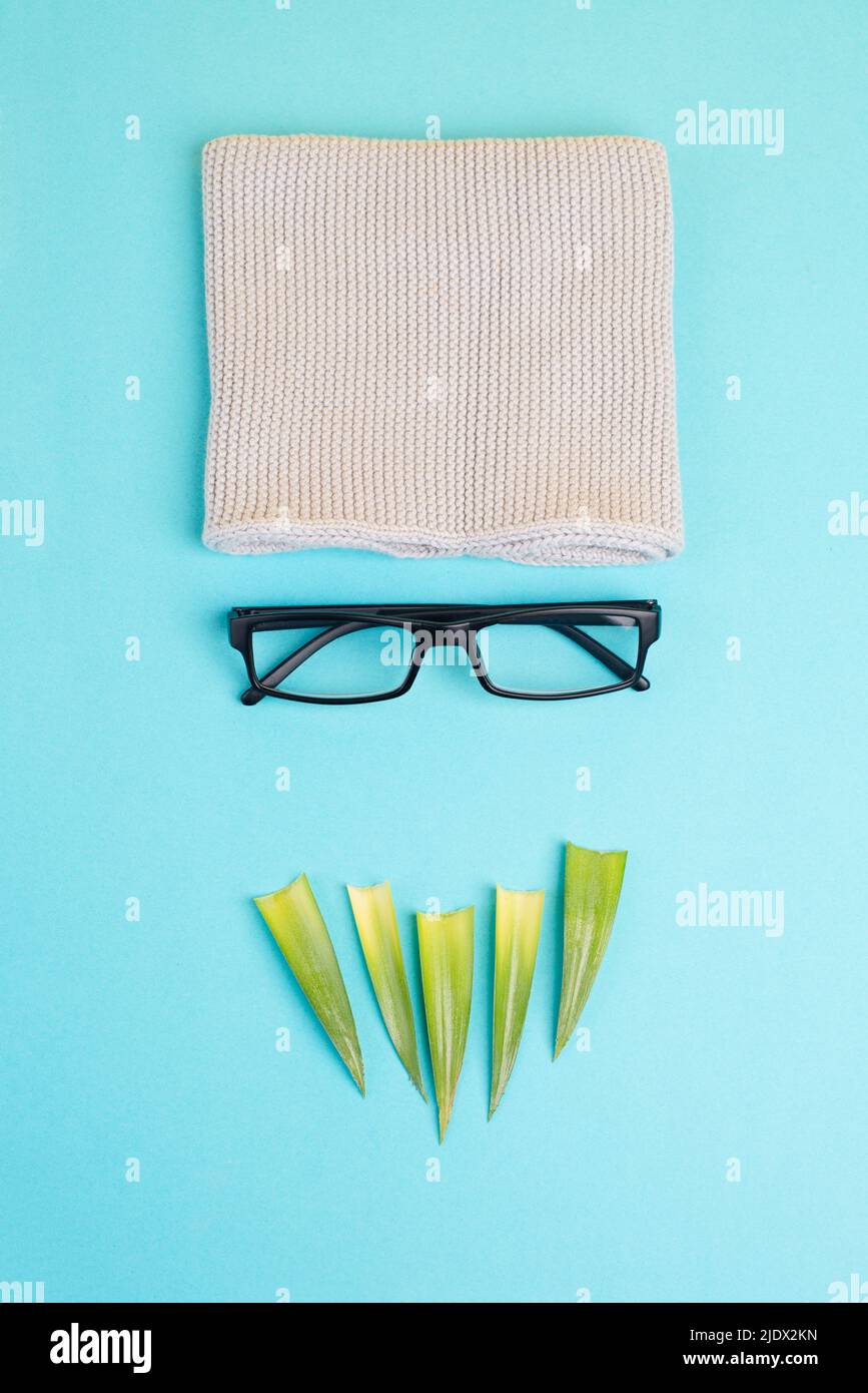 Volto umano di un uomo fatto con un cappello di lana, occhiali e foglie come una barba, ritratto minimalista divertente, stile di vita eco freak, nerd Foto Stock