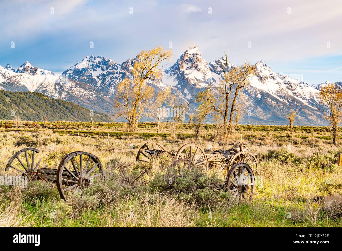 Vecchi carri di legno in un campo vicino alle montagne di Teton nel Parco Nazionale di Grand Teton, Wyoming Foto Stock