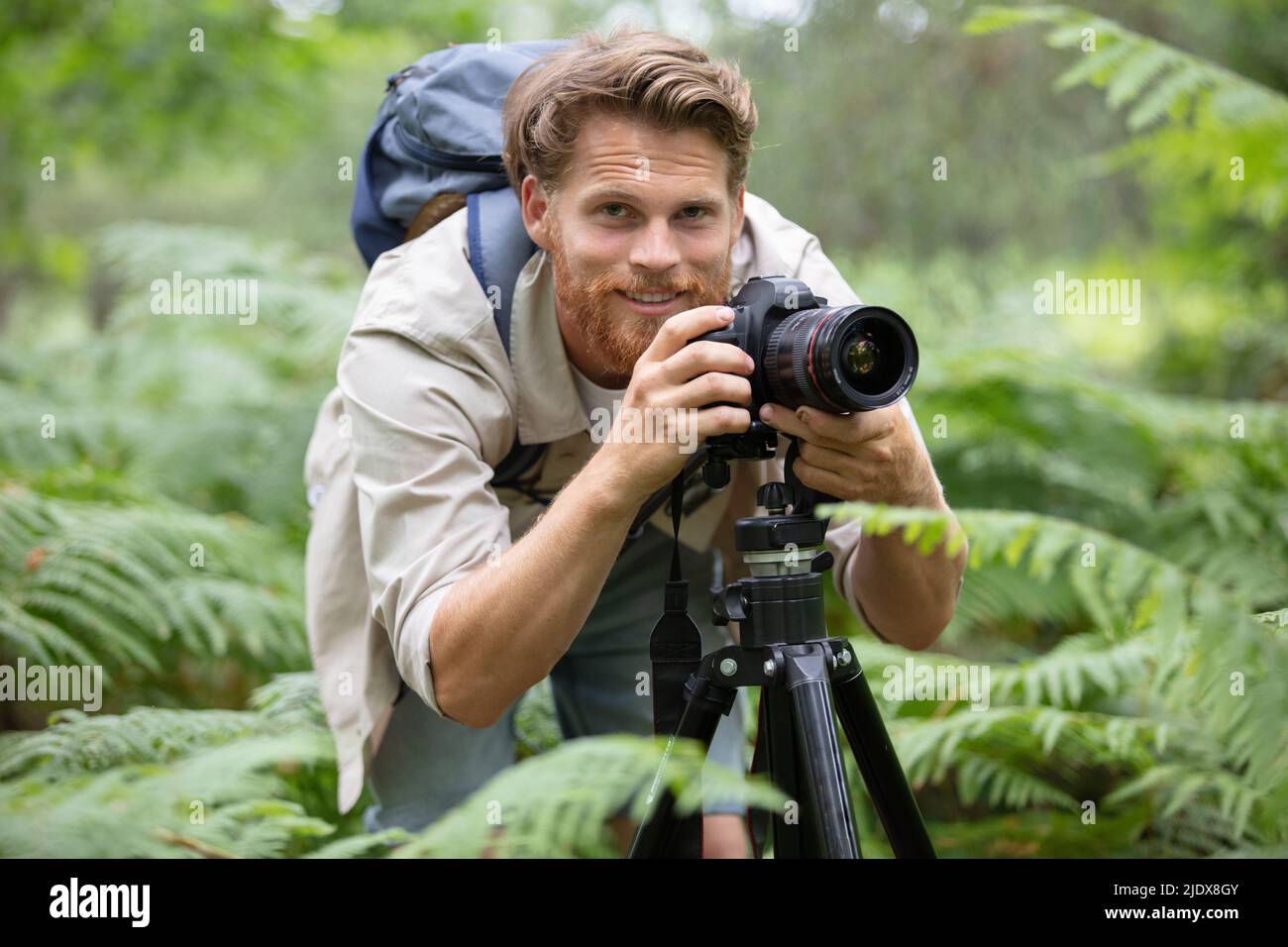 fotografo professionista della natura utilizzando un cavalletto Foto Stock