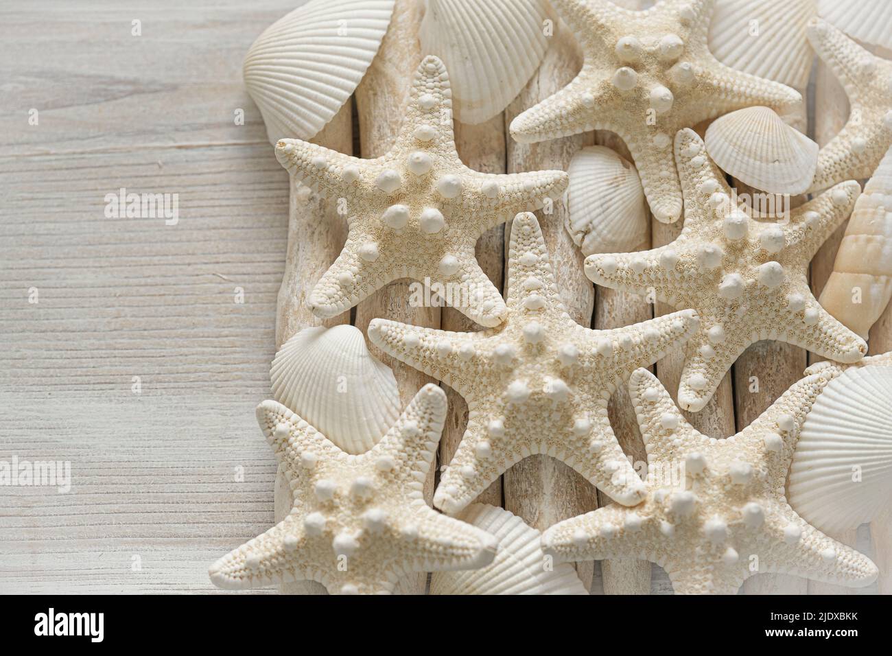Carta da parati marina. Starfish e conchiglie marine in colori beige pastello. Carta da parati estiva in stile marino. Stelle marine beige su legno bianco Foto Stock