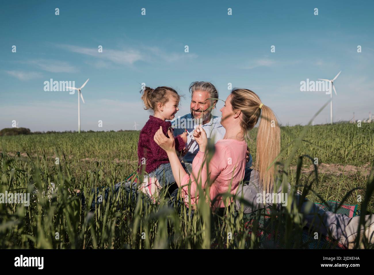 Ragazza felice con i genitori in campo in giorno di sole Foto Stock