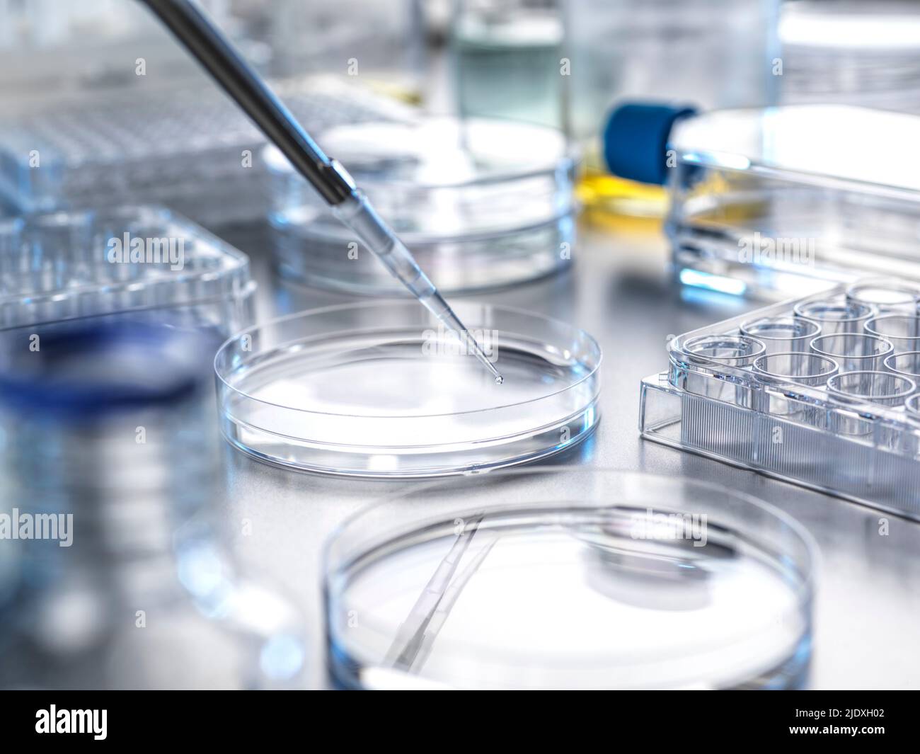 Pipettare la soluzione in una piastra Petri in laboratorio Foto Stock