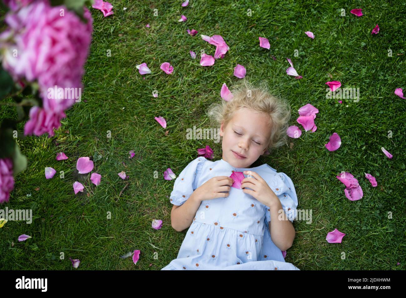 Ragazza con occhi chiusi tenendo un petalo di rosa che riposa sull'erba Foto Stock