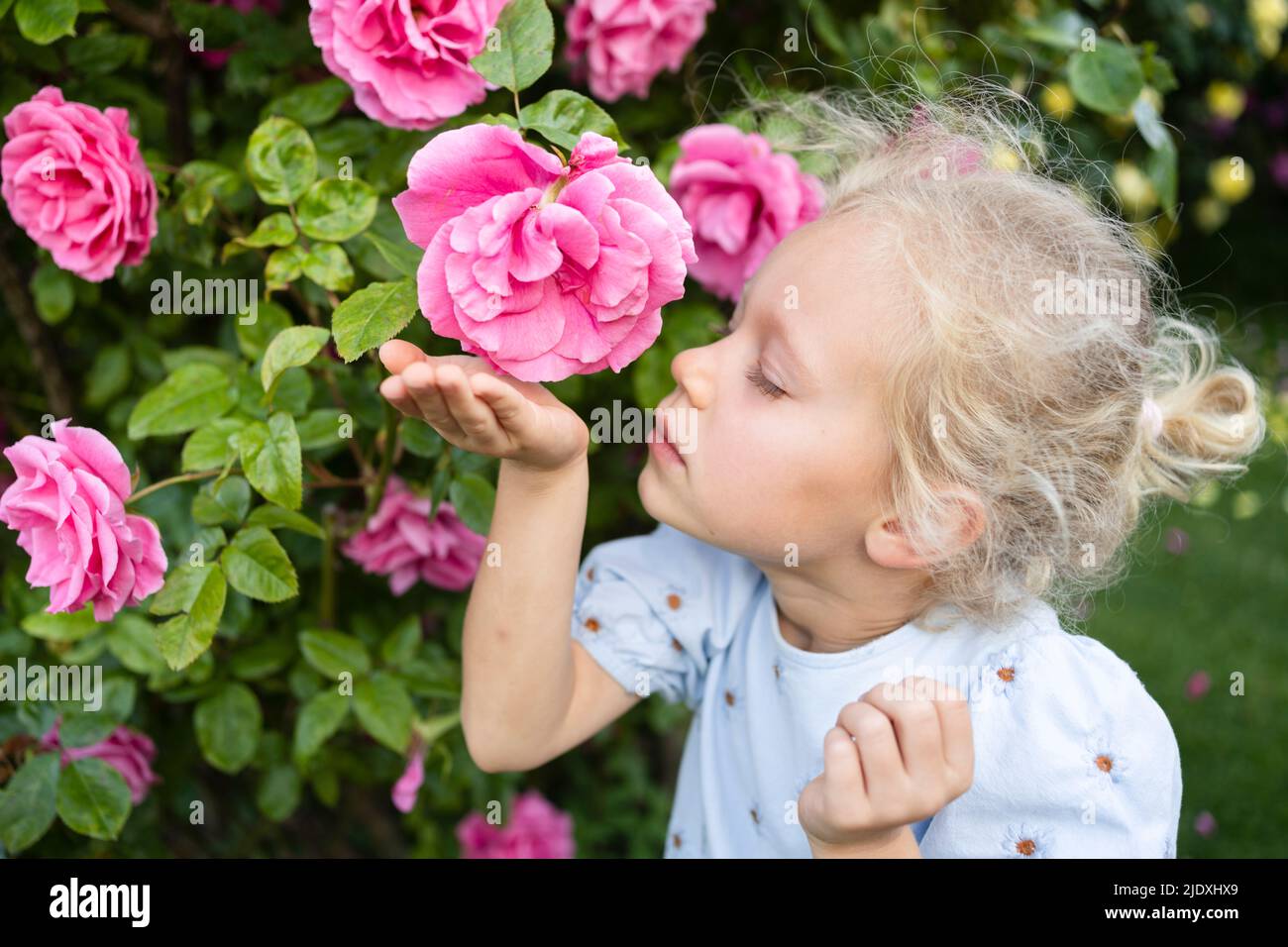 Ragazza carina che puzzava rosa in giardino Foto Stock