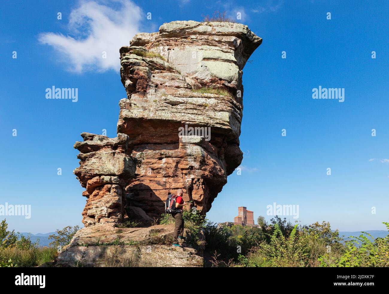 Germania, Renania-Palatinato, escursionista senior in piedi di fronte alla formazione di rocce di arenaria nella foresta di Palatinato con il castello di Trifels in background distante Foto Stock