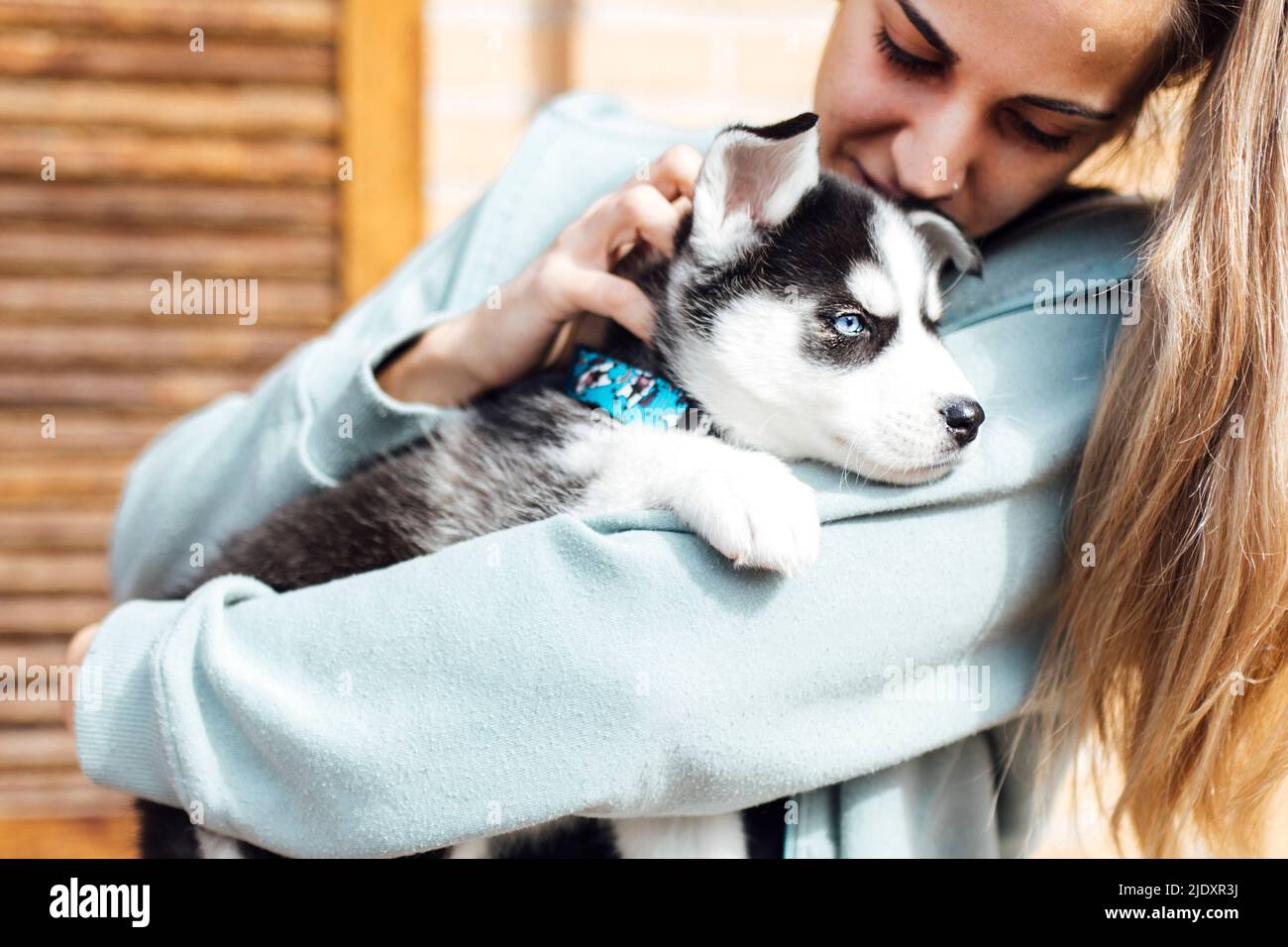 Giovane donna che accarezza il cucciolo di Husky Foto Stock
