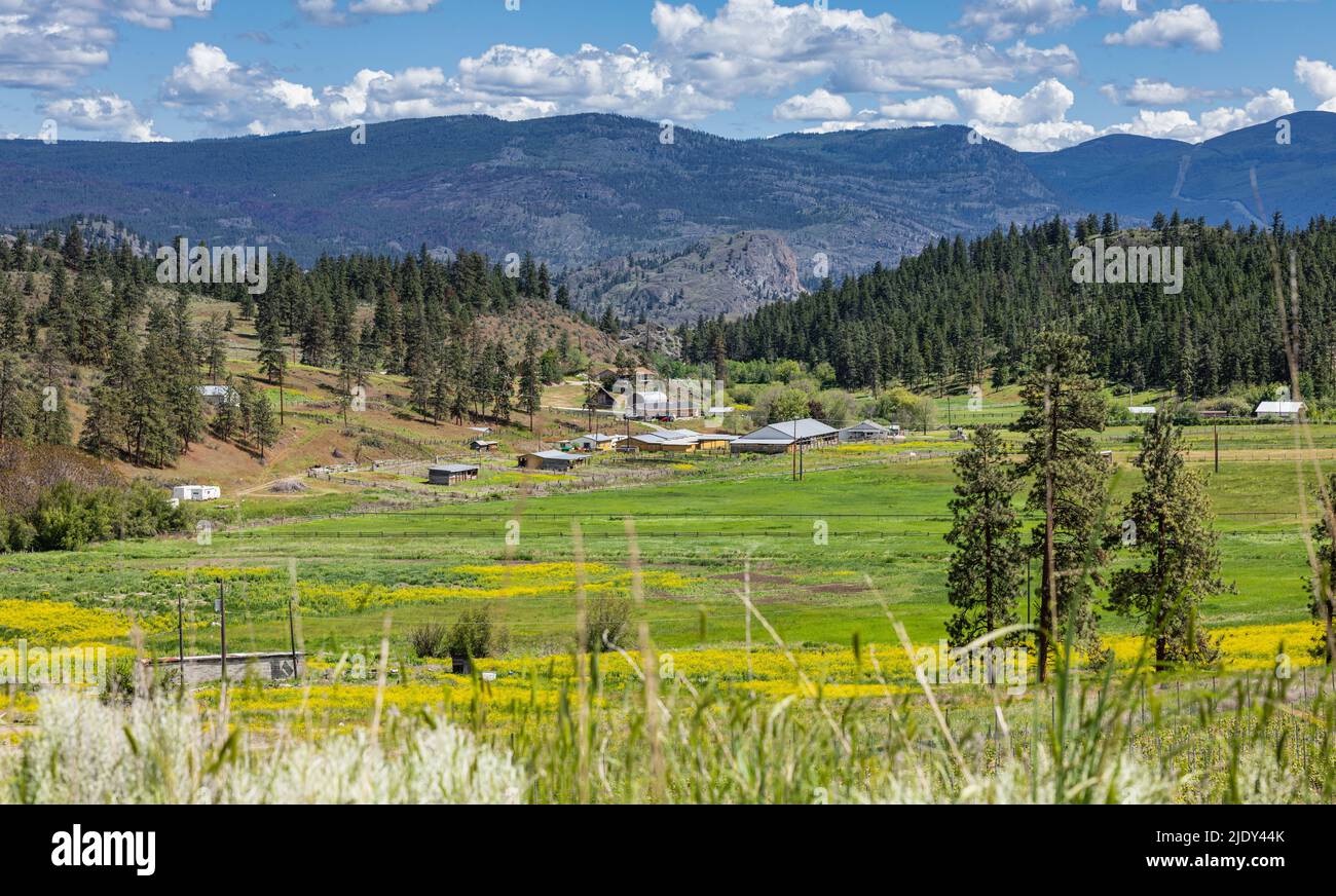 Un piccolo insediamento nella bella valle tra le montagne. Vista dall'alto di un piccolo villaggio in verde valle tra montagne sotto il cielo blu in Canada Foto Stock