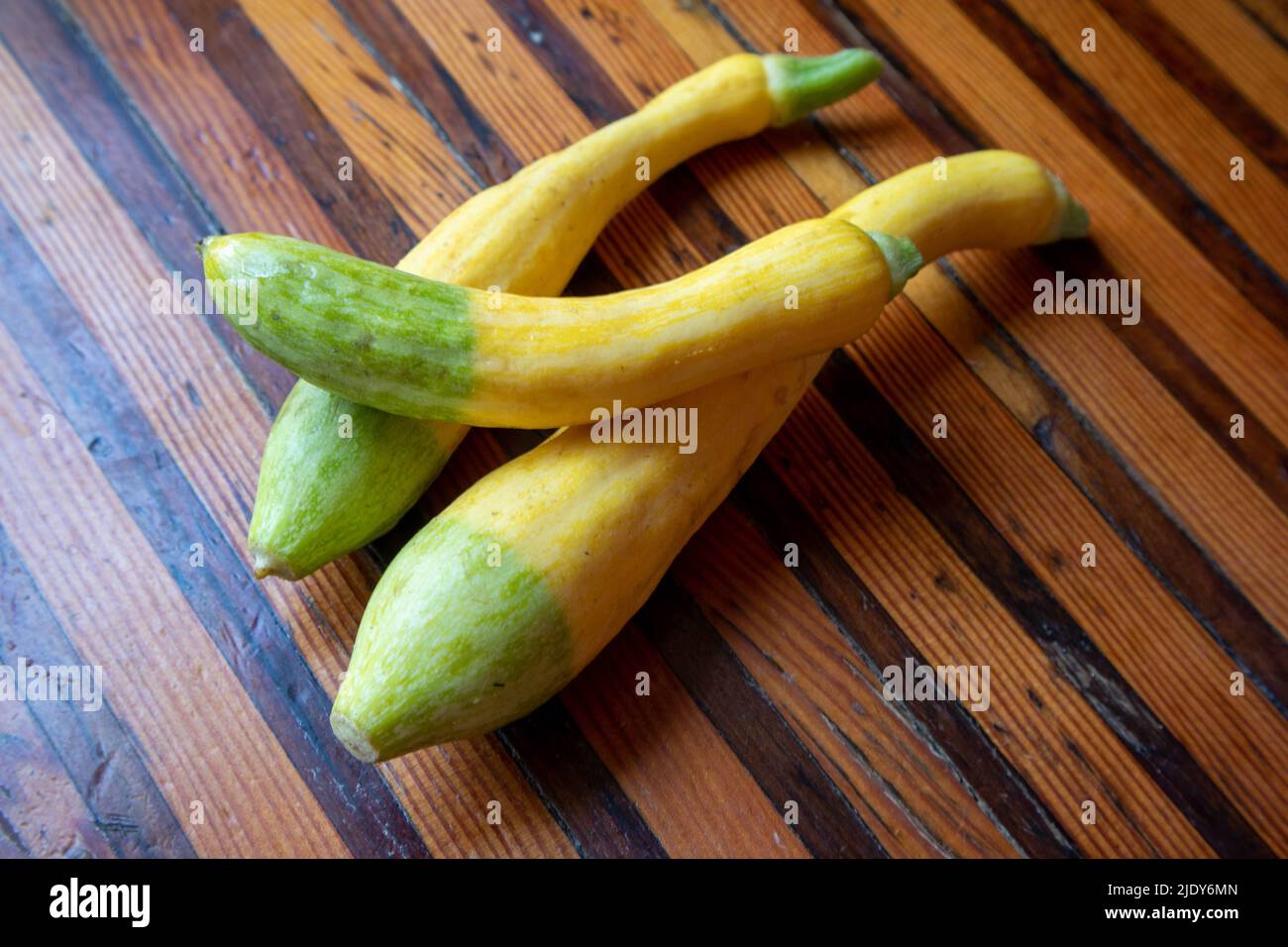Squash biologico Zephyr dal giardino Foto Stock