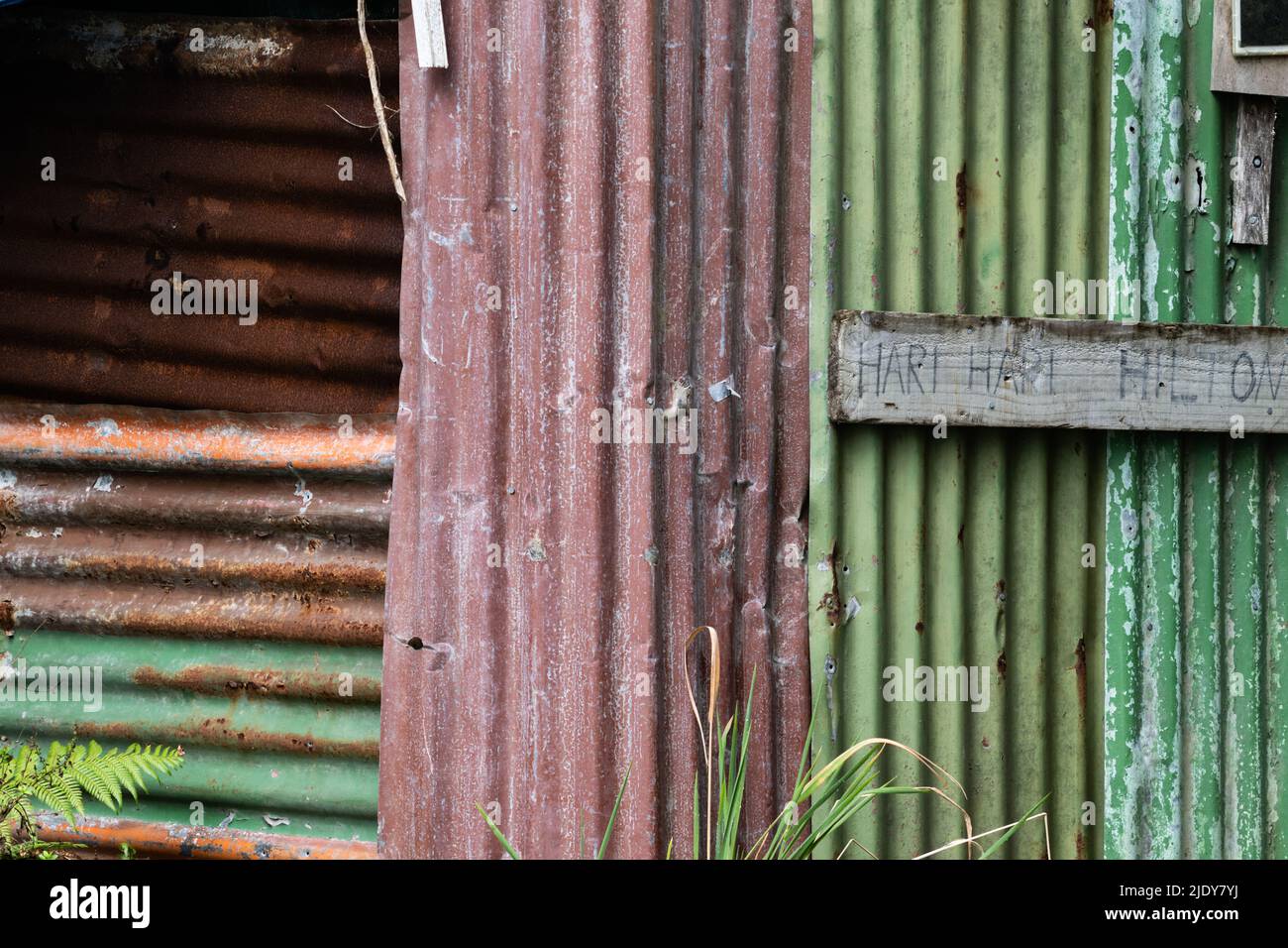 Westland Nuova Zelanda- Foto Stock