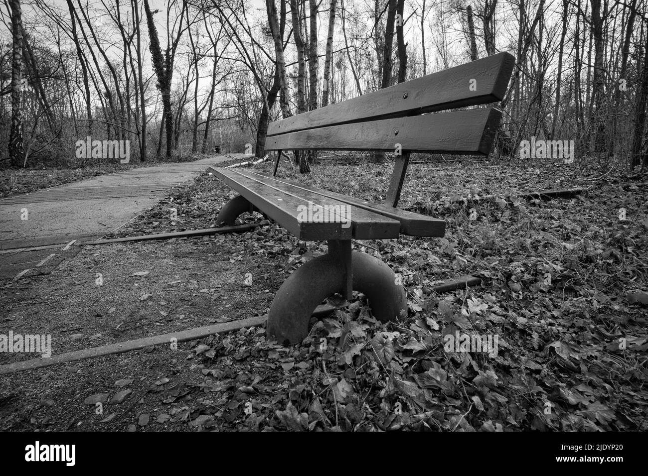Panca di legno in bianco e nero su binari abbandonati in un parco in autunno. Solitario godere la pace e la tranquillità nella natura. Foto di natura morta. Foto Stock