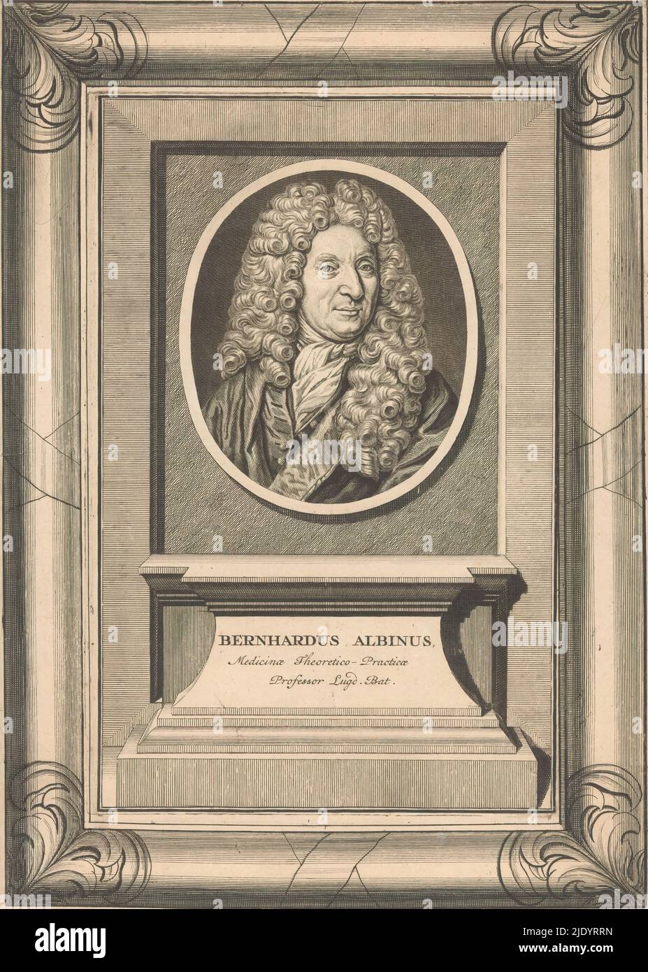 Ritratto di Bernhard Albino-Weiss, Ritratto di Bernhard Albino-Weiss in una cornice ovale. In una cornice il suo nome e professione. Interamente in una cornice rettangolare incisa separatamente., tipografia: anonymous, editore: Pieter van der AA (i), Leiden, 1715 - 1730, carta, incisione, incisione, altezza 270 mm x larghezza 177 mm x altezza 348 mm x larghezza 252 mm Foto Stock