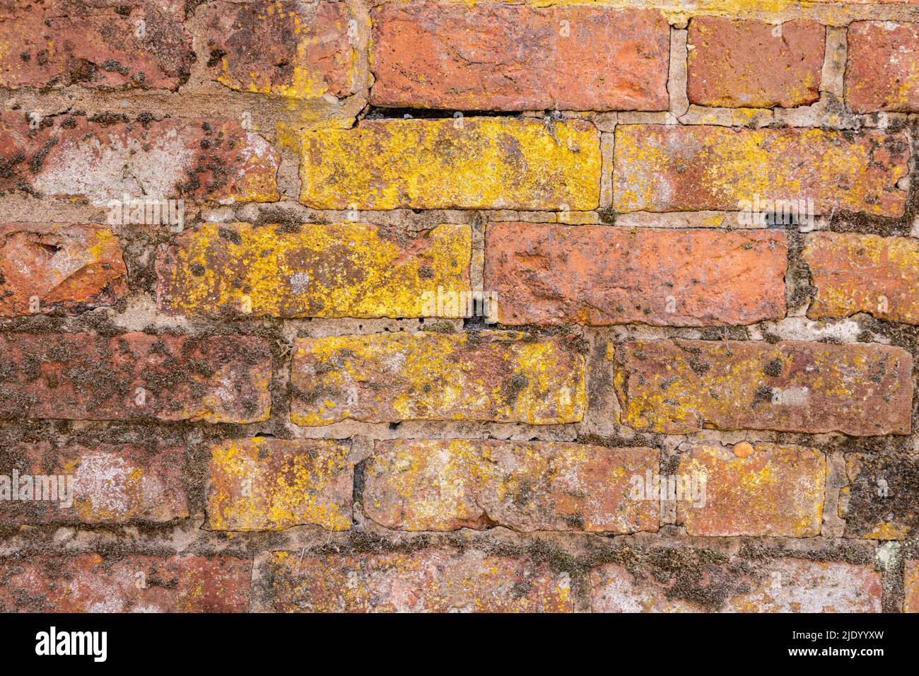 Muro fatto di vecchi mattoni scoloriti Foto Stock