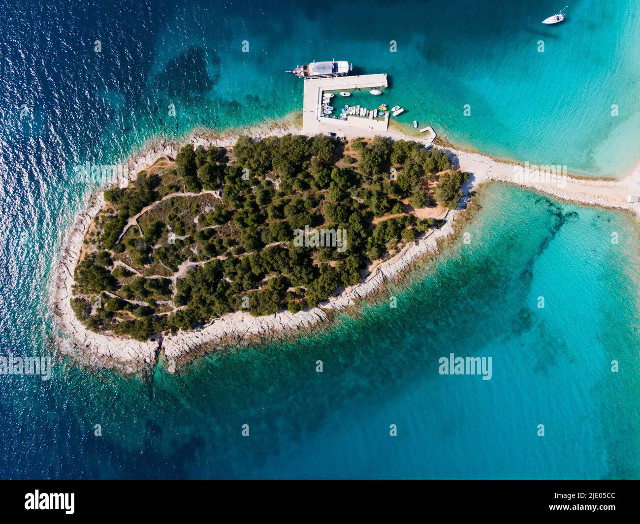 Fuco, penisola di Podvrske, isola di Murter, Dalmazia, Croazia Foto Stock