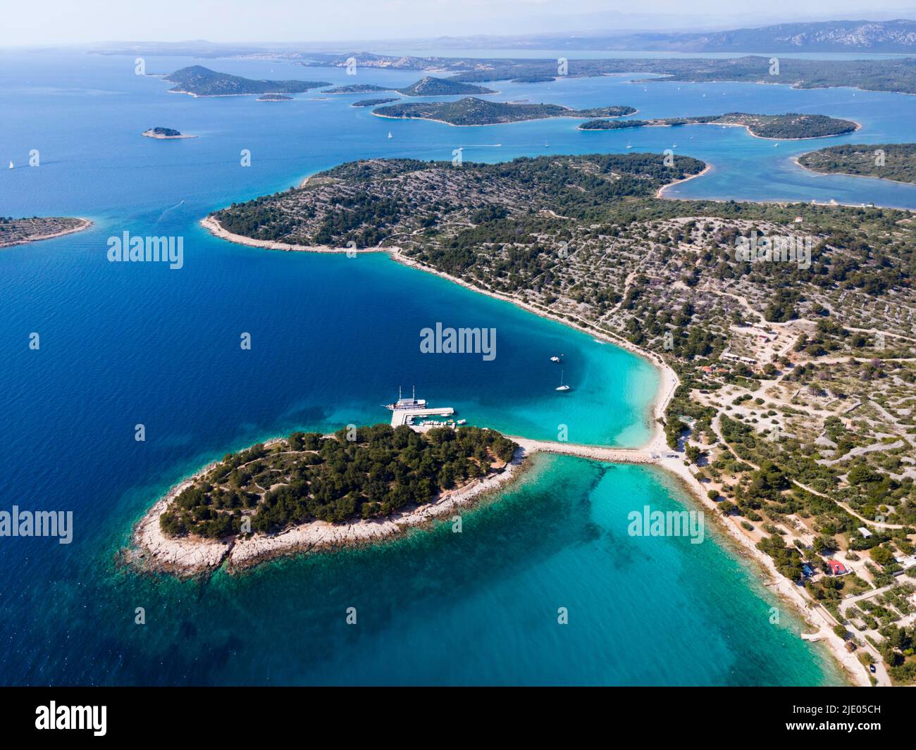 Fuco, penisola di Podvrske, isola di Murter, Dalmazia, Croazia Foto Stock