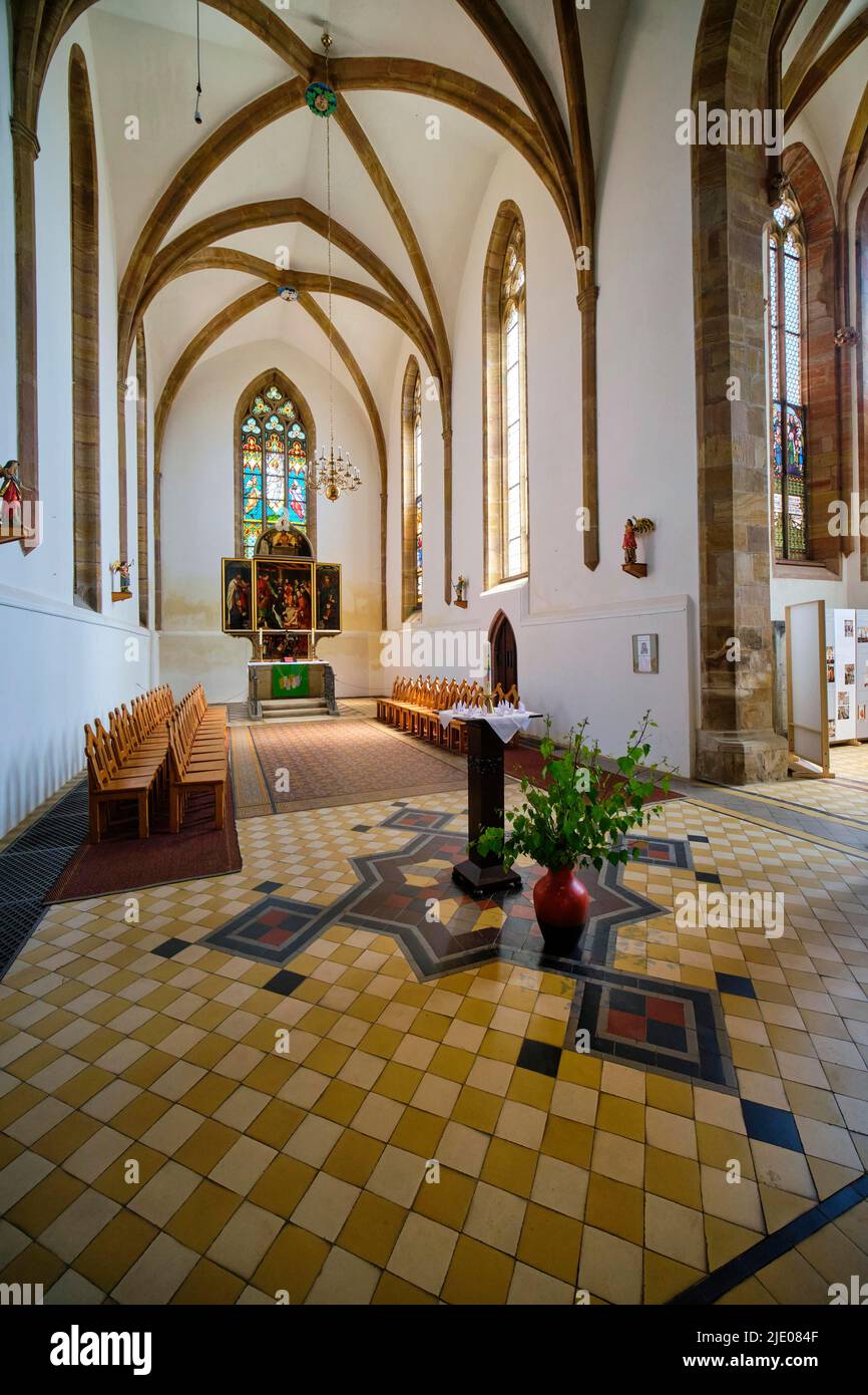 Katharinenkirche, chiesa tardo gotica sala, interno, Zwickau, Sassonia, Germania Foto Stock