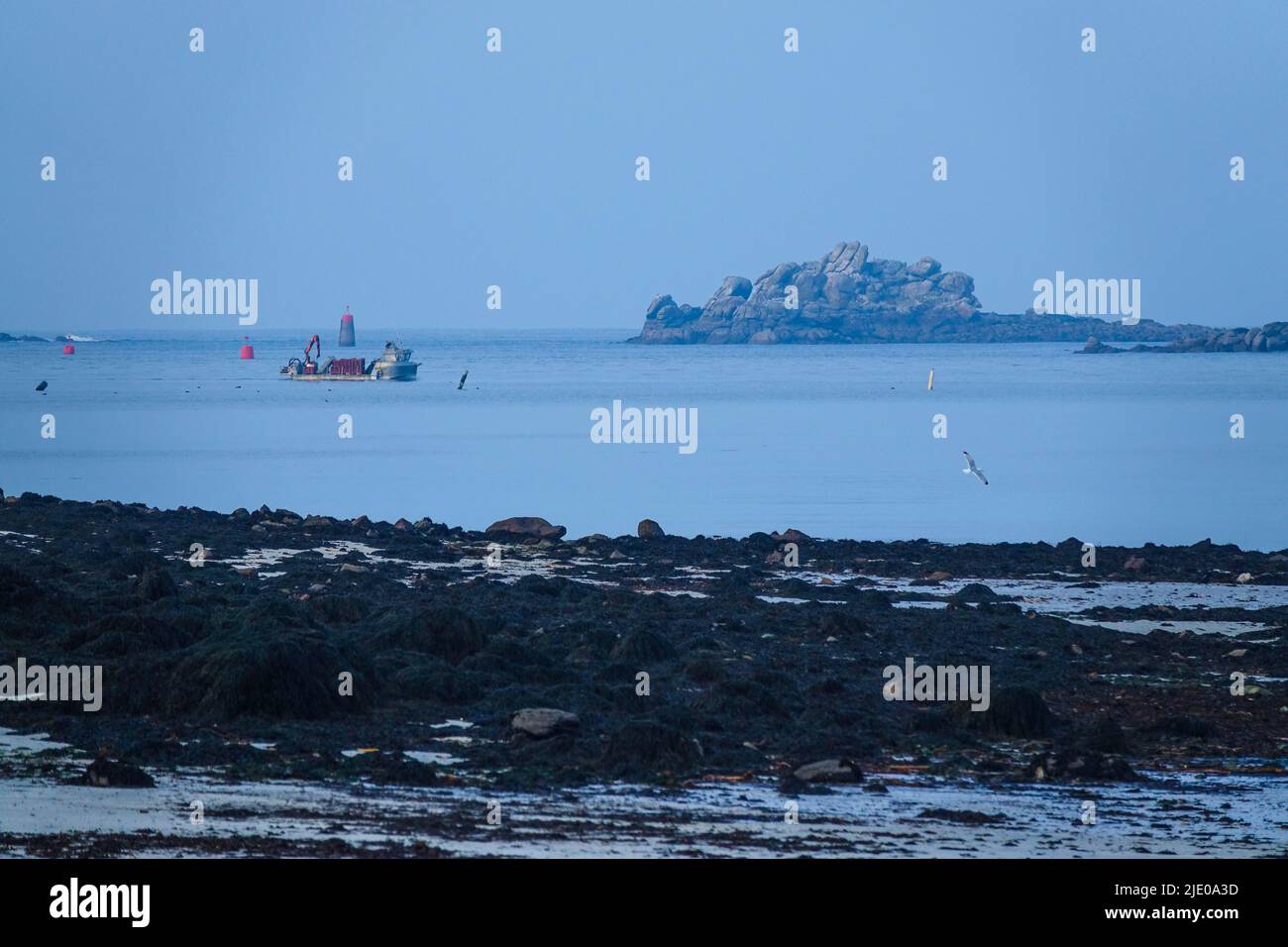 Vista dalla penisola di Sainte Marguerite alle rocce delle isole offshore, Landeda, dipartimento di Finistere Penn ar Bed, regione di Bretagna Breizh Foto Stock