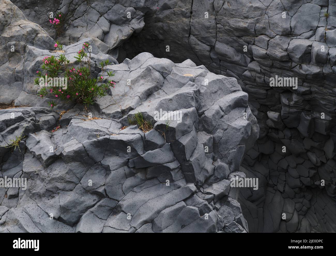 XXLava roccia nel parco fluviale Gole dell'Alcantara, Gola dell'Alcantara, Sicilia, Italia, Europa Foto Stock