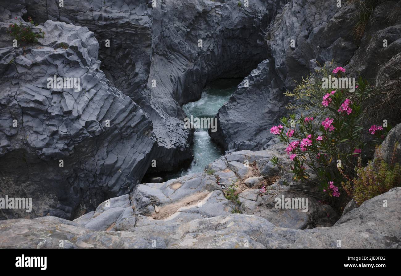 La sorgente di Venere, la sorgente di Venere, la roccia di Lava nel Parco fluviale Gole dell'Alcantara, Gola dell'Alcantara, Sicilia, Italia, Europa Foto Stock