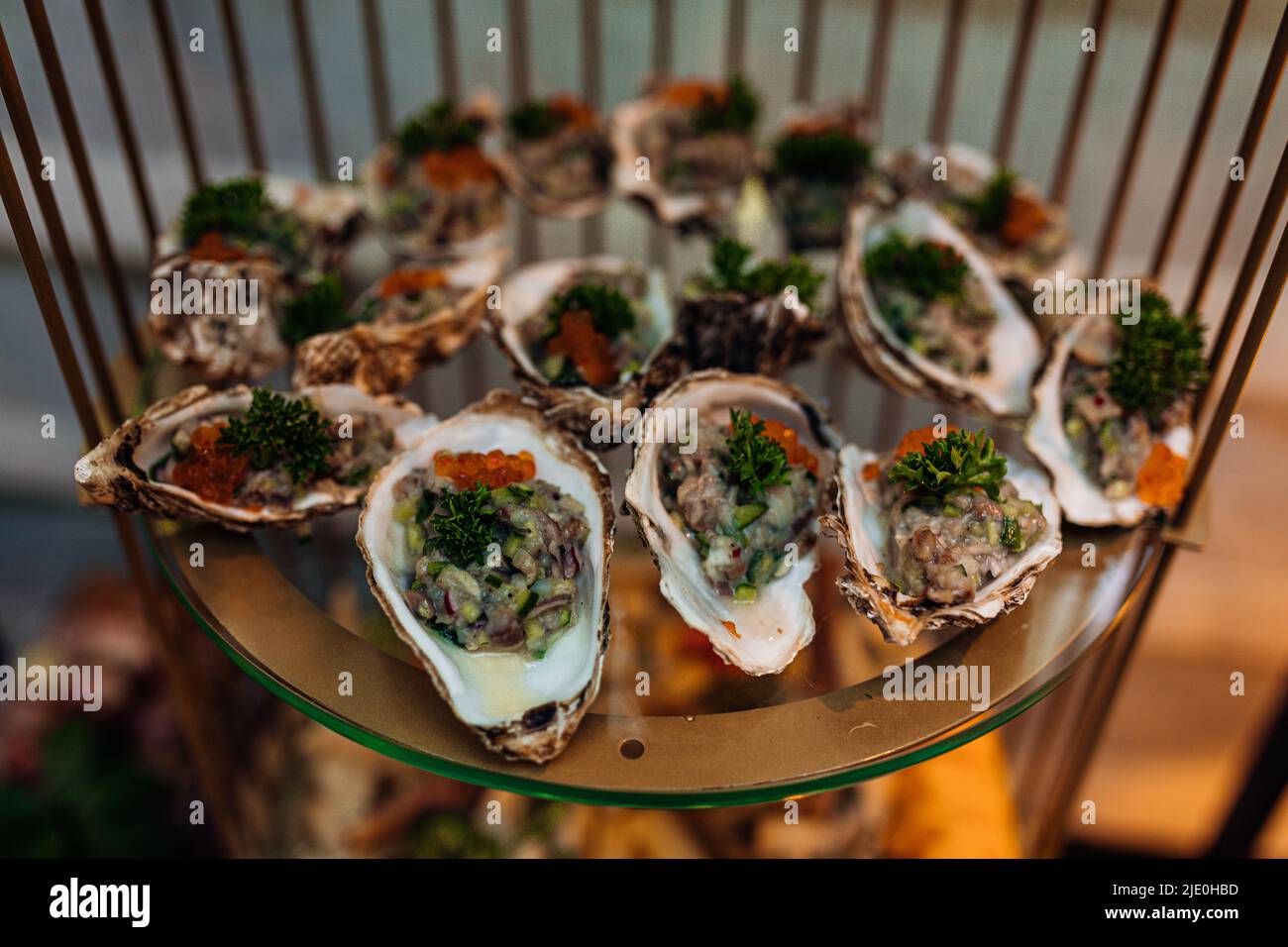 Serve una fila di ostriche fresche e deliziose in conchiglie su un piatto rotondo in vista dal primo piano del ristorante. Porzione di piatto di pesce di stagione, celebrazione dell'evento Foto Stock