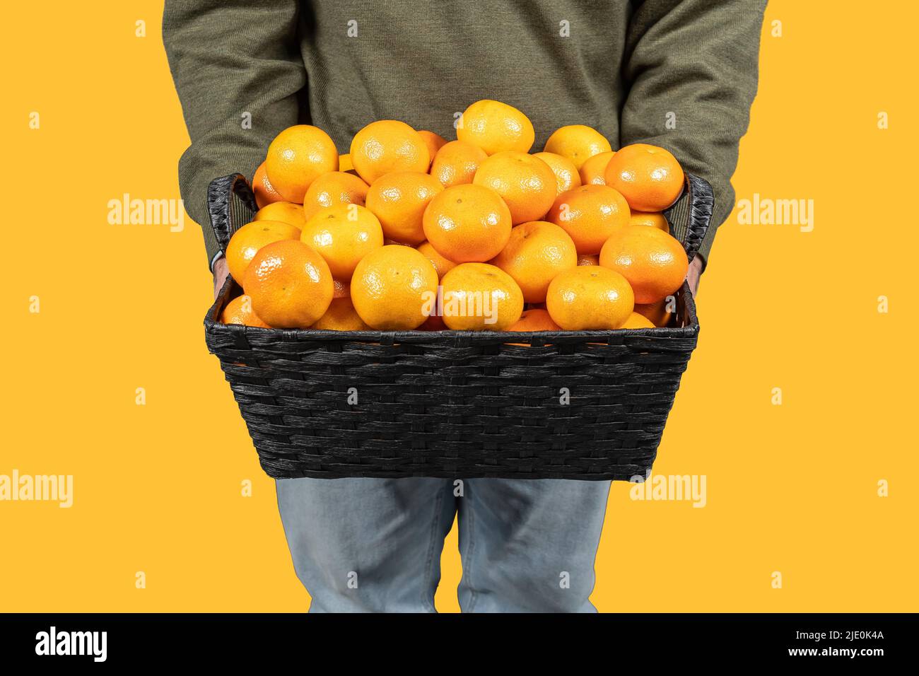 Cestino di tangerini impilati tenuti da un uomo nelle sue mani su sfondo arancione isolato. Foto Stock