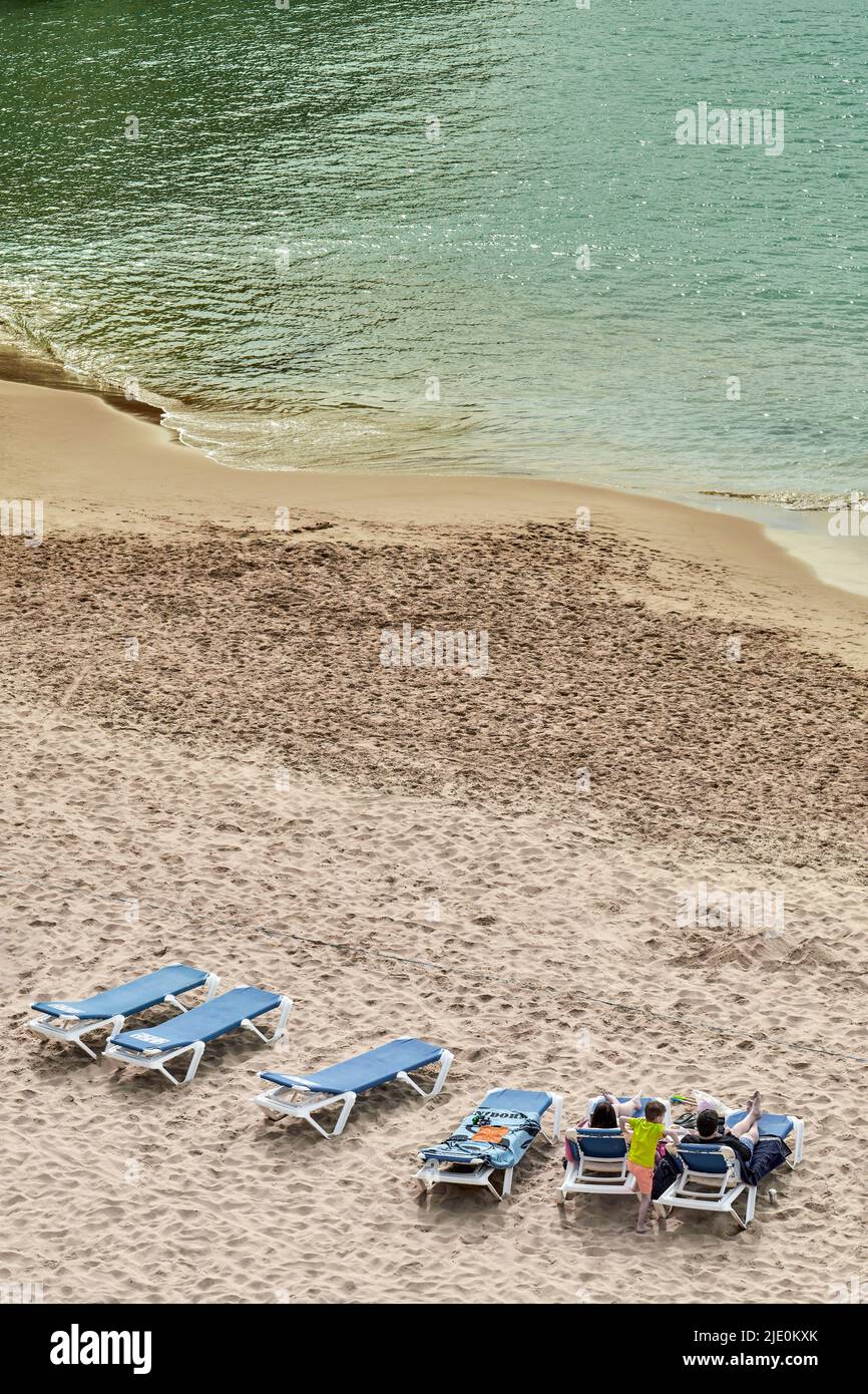 Vista aerea della piccola spiaggia sabbiosa di Mal Pas in un luogo protetto da palme con lettini blu a Benidorm, Alicante, Spagna, Europa Foto Stock