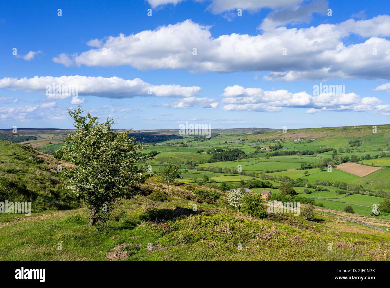 North York Moors e vista di campi verdi, terreni agricoli e brughiere da Blakey Ridge North York Moors National Park North Yorkshire Inghilterra UK GB Europe Foto Stock