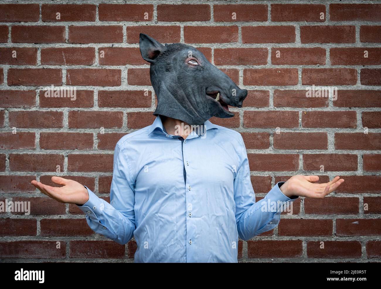 Un uomo corporativo che indossa una maschera di maiale gesturing non so, che si preoccupa Foto Stock