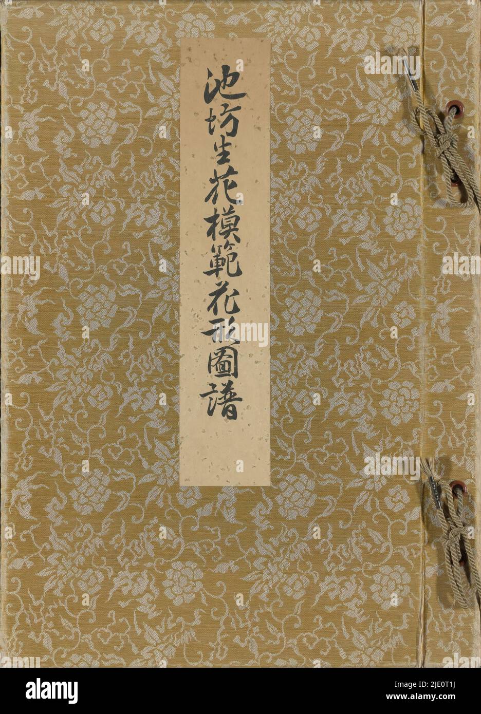 Un libro d'oro e d'argento con una copertina di raso nero