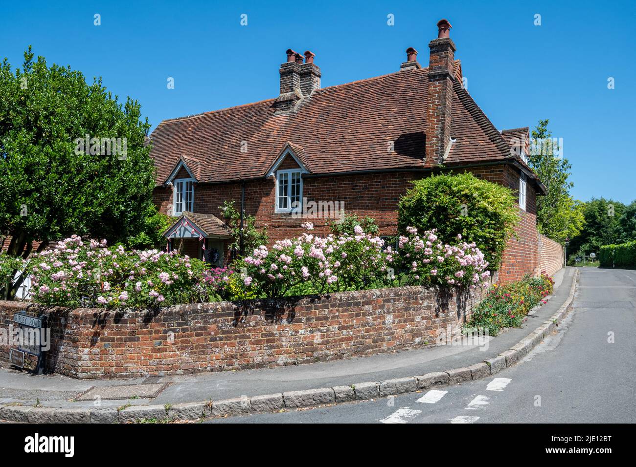 Grazioso cottage con rose nel giardino di fronte, East Clandon Village, Surrey, Inghilterra, Regno Unito Foto Stock