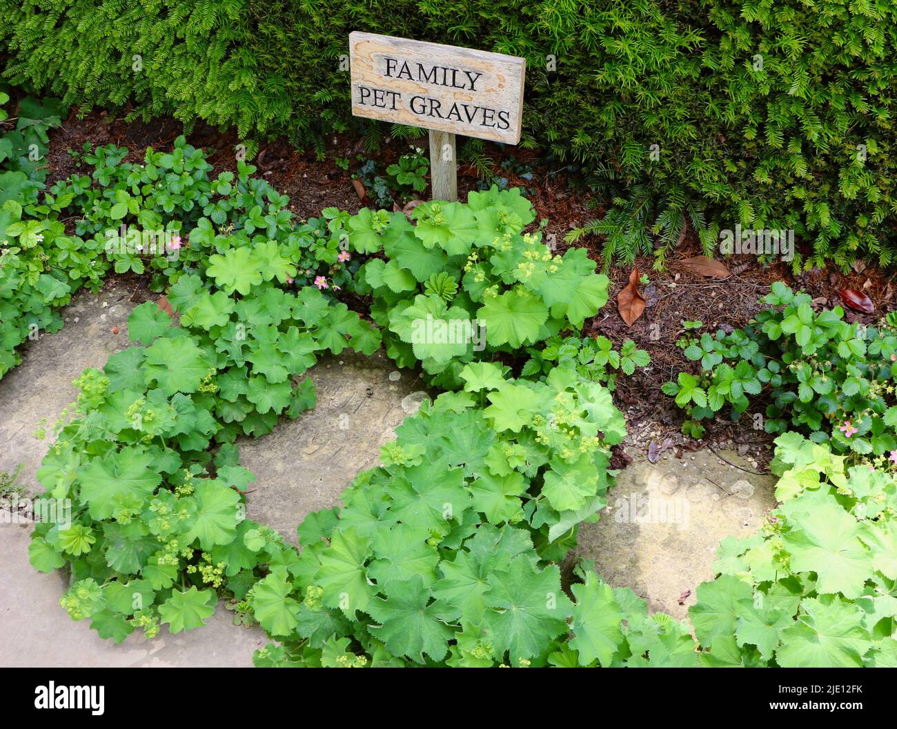 La famiglia si trova a Chartwell, vicino a Westerham, Kent, Inghilterra, Regno Unito Foto Stock