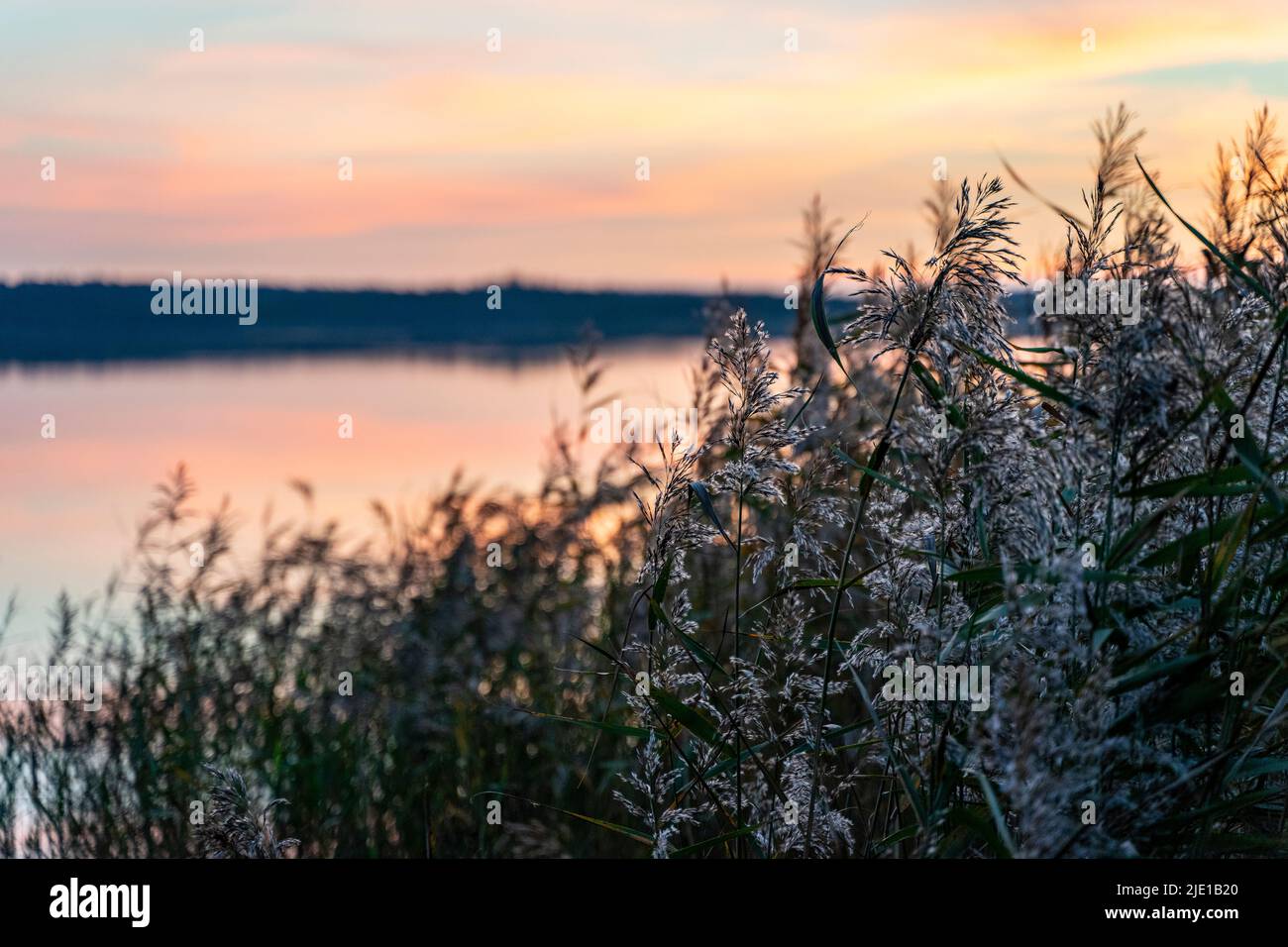 Tramonto al lago di Vandet, Klitmøller, Danimarca Foto Stock