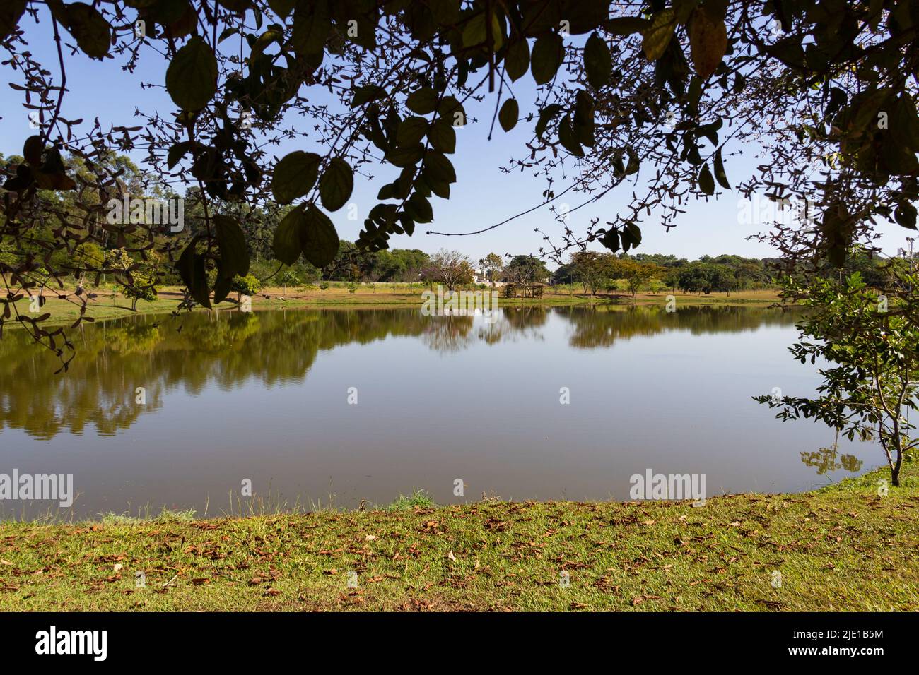 Goiania, Goiás, Brasile – 20 giugno 2022: Paesaggio. Una delle viste del Parco Leolidio di Ramos Caiado nella città di Goiania. Foto Stock