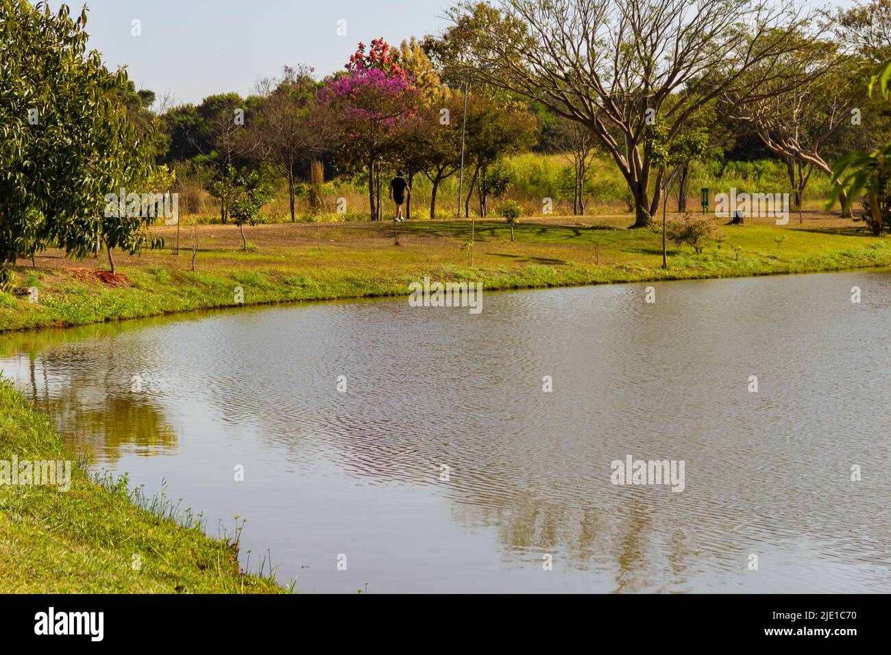 Goiania, Goiás, Brasile – 20 giugno 2022: Paesaggio. Una delle viste del Parco Leolidio di Ramos Caiado nella città di Goiania. Foto Stock