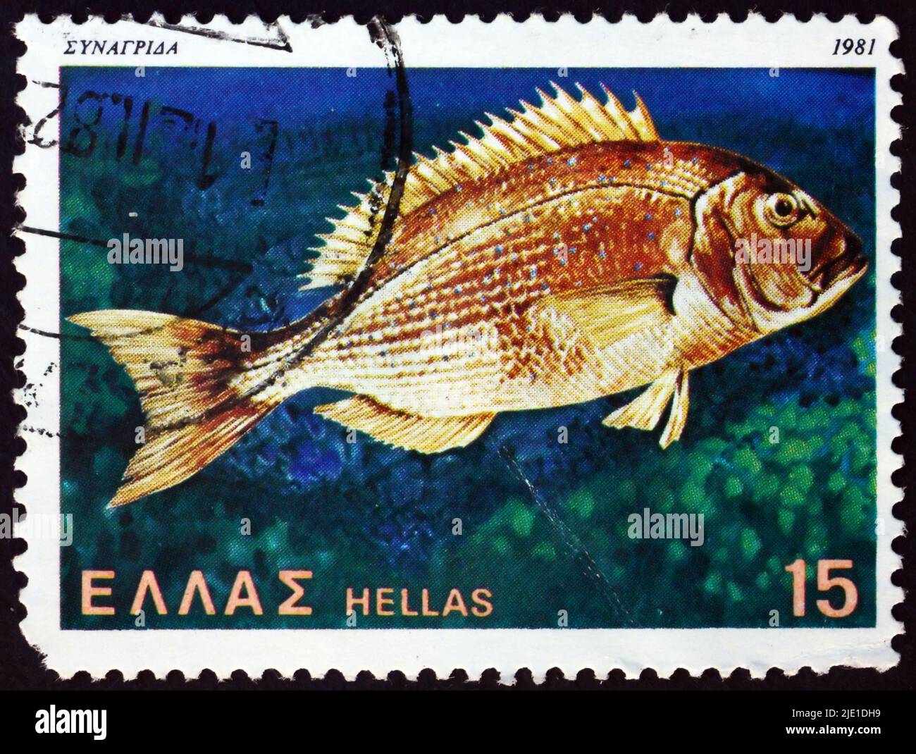 GRECIA - CIRCA 1981: Un francobollo stampato in Grecia mostra dentex comune, dentex dentex, è una specie di pesce, comune nel Mar Mediterraneo, circa 1981 Foto Stock