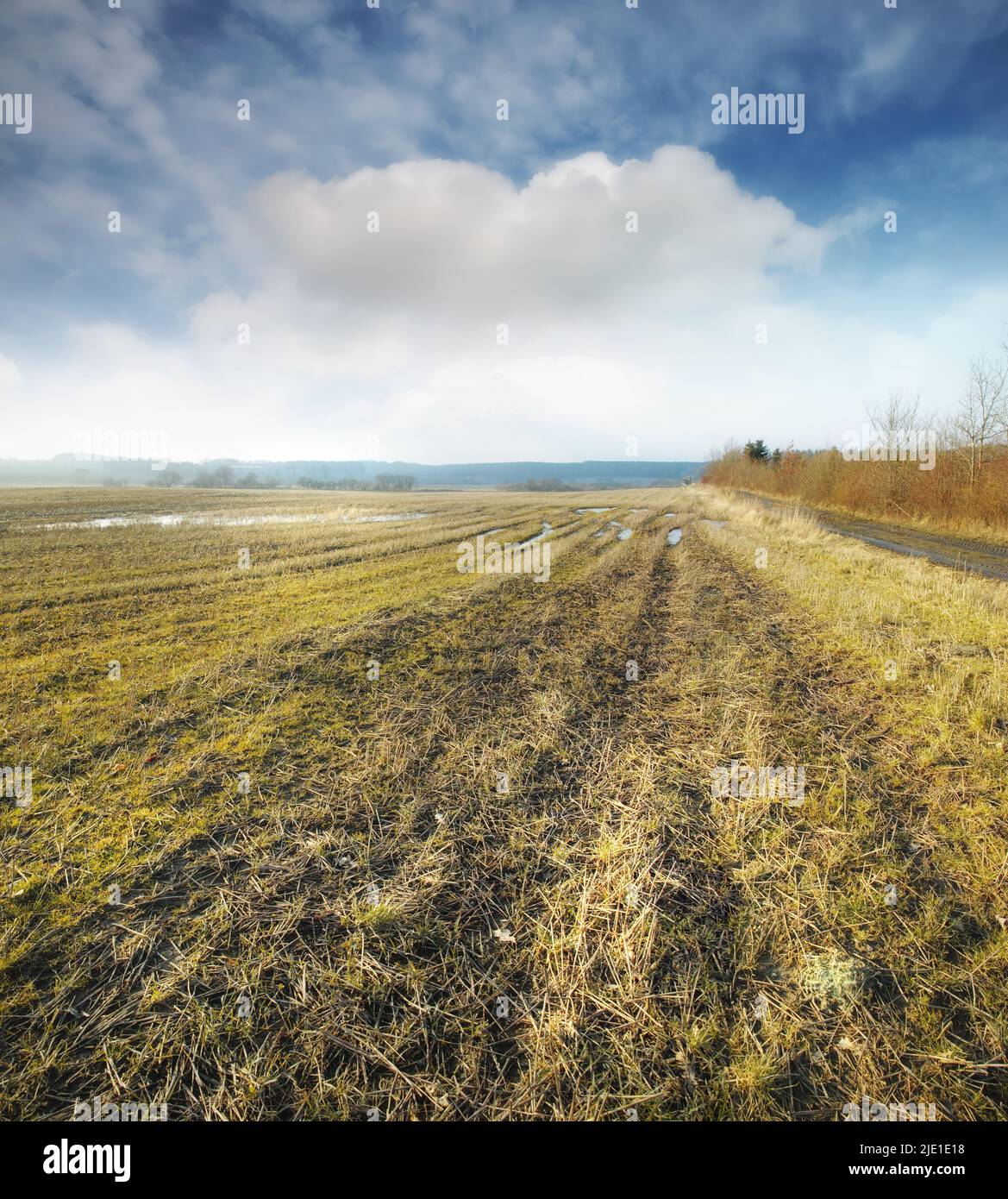 Terreni agricoli umidi all'inizio della primavera nello Jutland, Danimarca. Una prateria con pozzanghere d'acqua contro un cielo blu nuvoloso. Paesaggio con campo abbandonato bagnato da Foto Stock