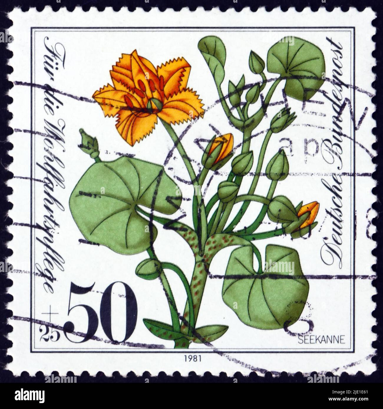 GERMANIA - CIRCA 1981: Un francobollo stampato in Germania mostra cuore galleggiante, nymphoides peltata, è pianta acquatica perenne, radicata con foglie galleggianti, it Foto Stock