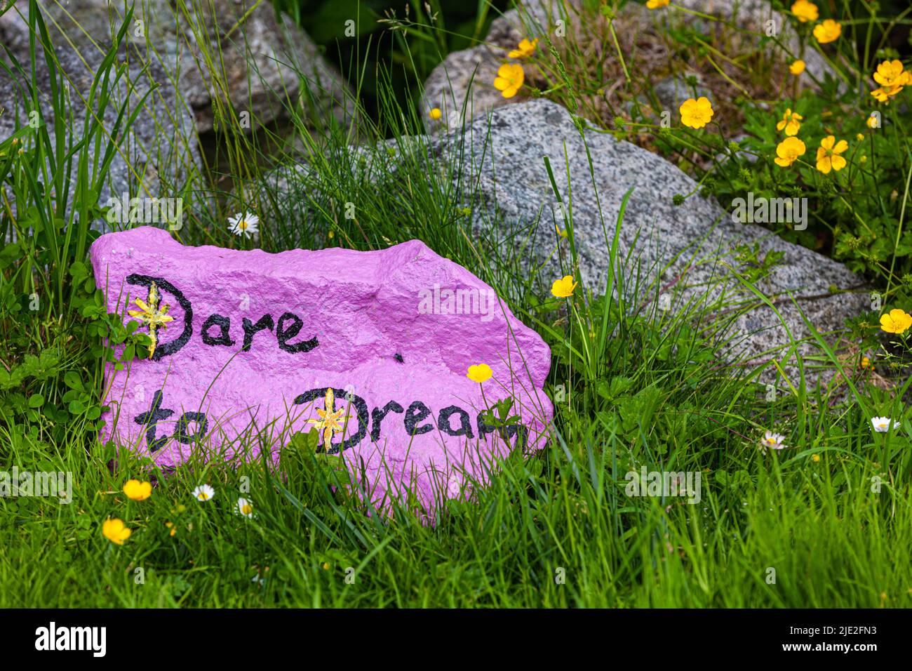 Pietra dipinta con un messaggio di osate to Dream a Steveston British Columbia Canada Foto Stock