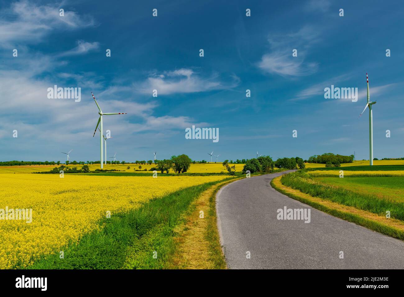 Bella strada di campagna curva sul campo di canola con turbine eoliche Foto Stock