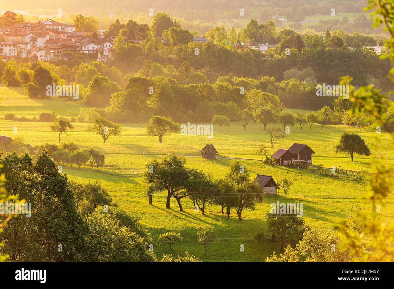 Campagna panoramica nella valle di Soca, Slovenia. Splendide colline al tramonto con prati verdi e pascoli Foto Stock