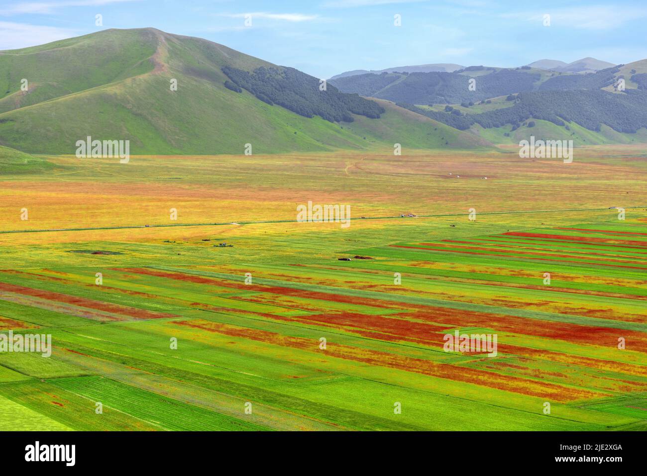 Castelluccio, Norcia, Perugia, Umbria, Italia Foto Stock