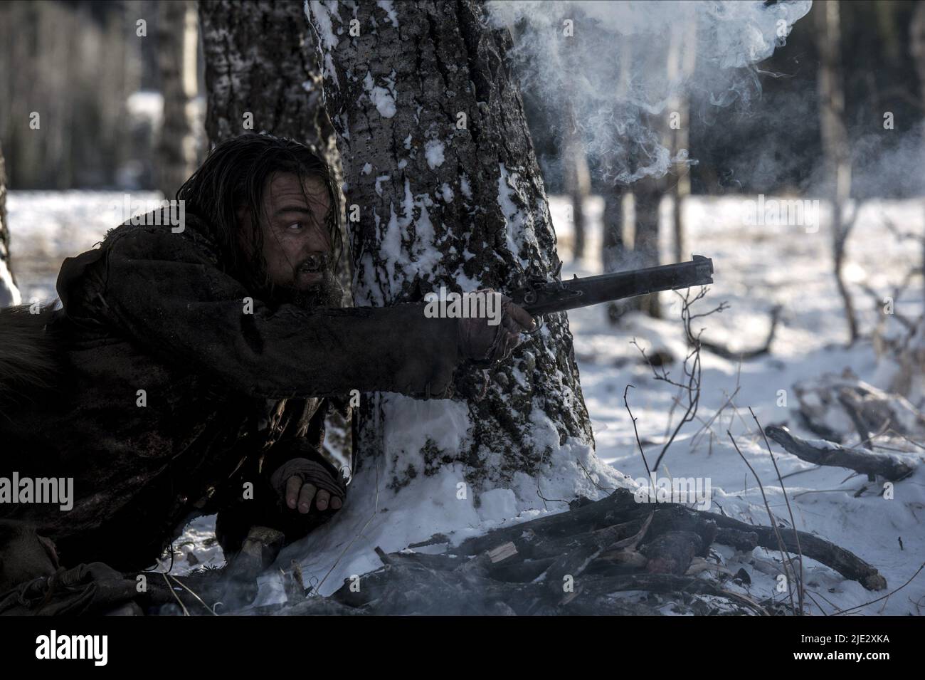 LEONARDO DICAPRIO, IL REVENANT, 2015 Foto Stock