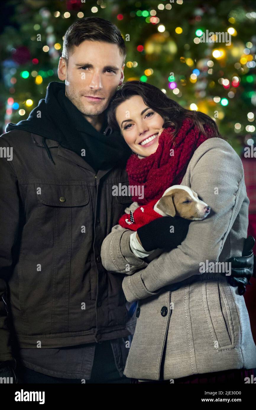 MEGHAN ORY, ANDREW W. WALKER, DEBBIE MACOMBER'S DASHING THROUGH THE SNOW, 2015 Foto Stock