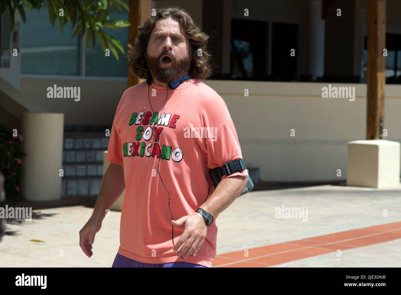 ZACH GALIFIANAKIS, MASTERMINDS, 2015 Foto Stock