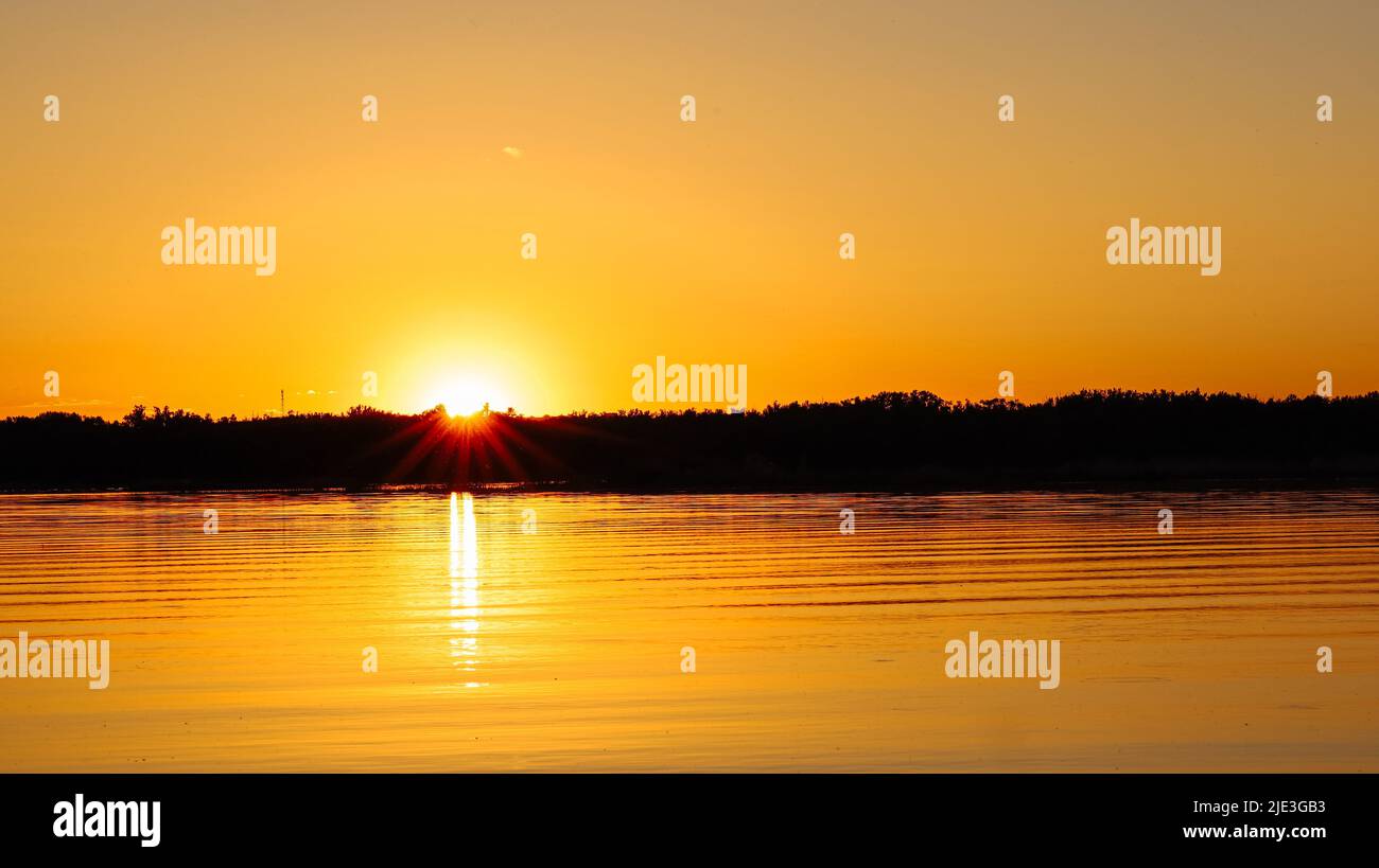 Splendido tramonto dorato arancione che si riflette sul lago del fiume. Silhouette di alberi di foresta che crescono ad acqua. Foto Stock