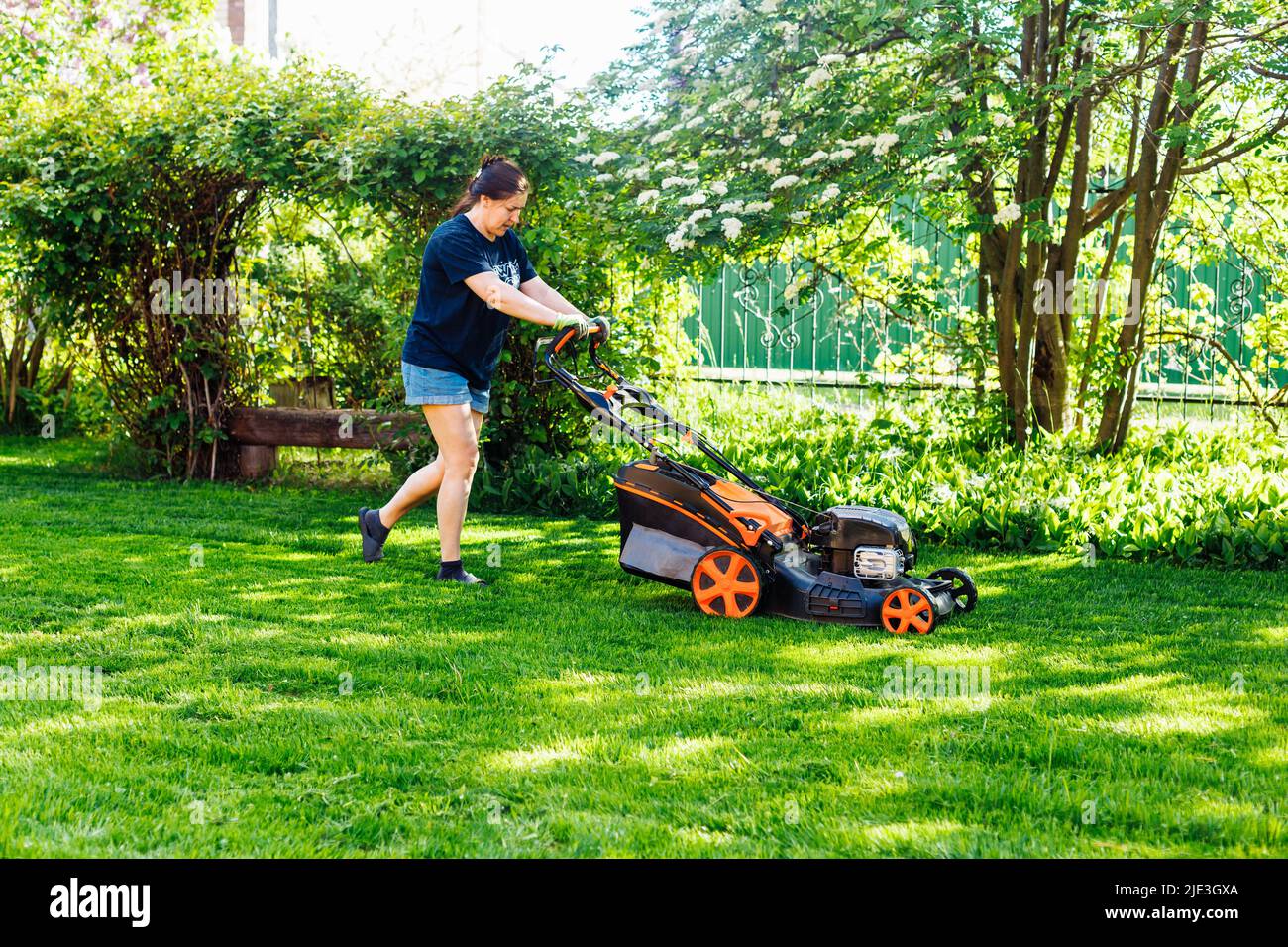 Donna dai capelli scuri in abiti casual con rasaerba a benzina o tagliaerba in giardino. Taglio di piante verdi fresche Foto Stock