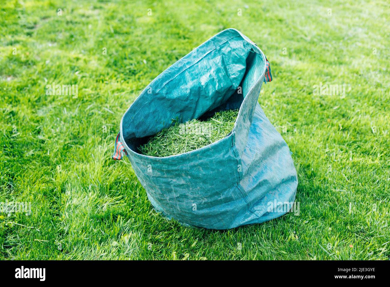 Erba fresca tagliata naturale in sacchetto blu con rastrello su prato verde. Preparazione futura compost, fertilizzante organico ecologico. Riciclaggio Foto Stock