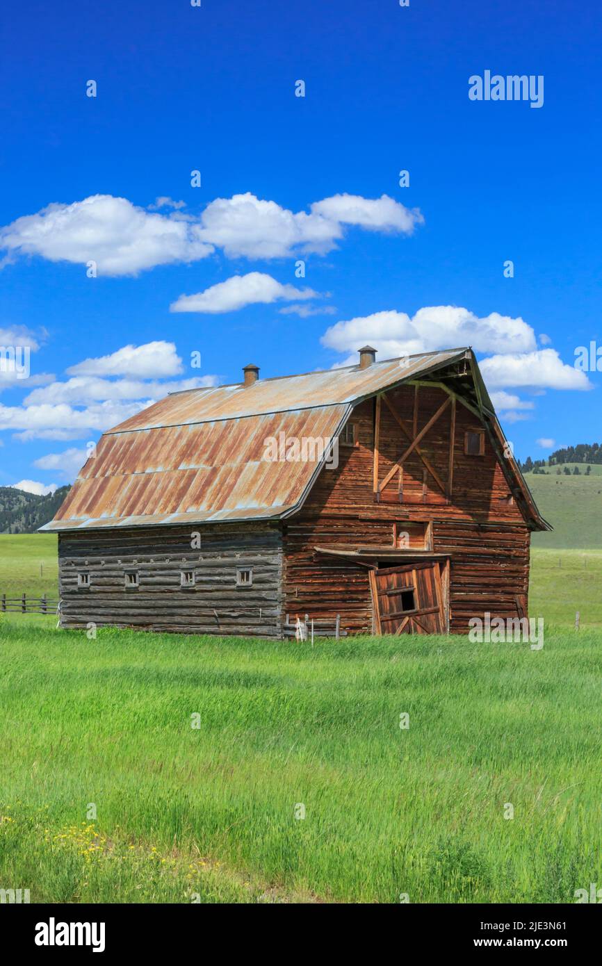 vecchio fienile di tronchi vicino a jens, montana Foto Stock