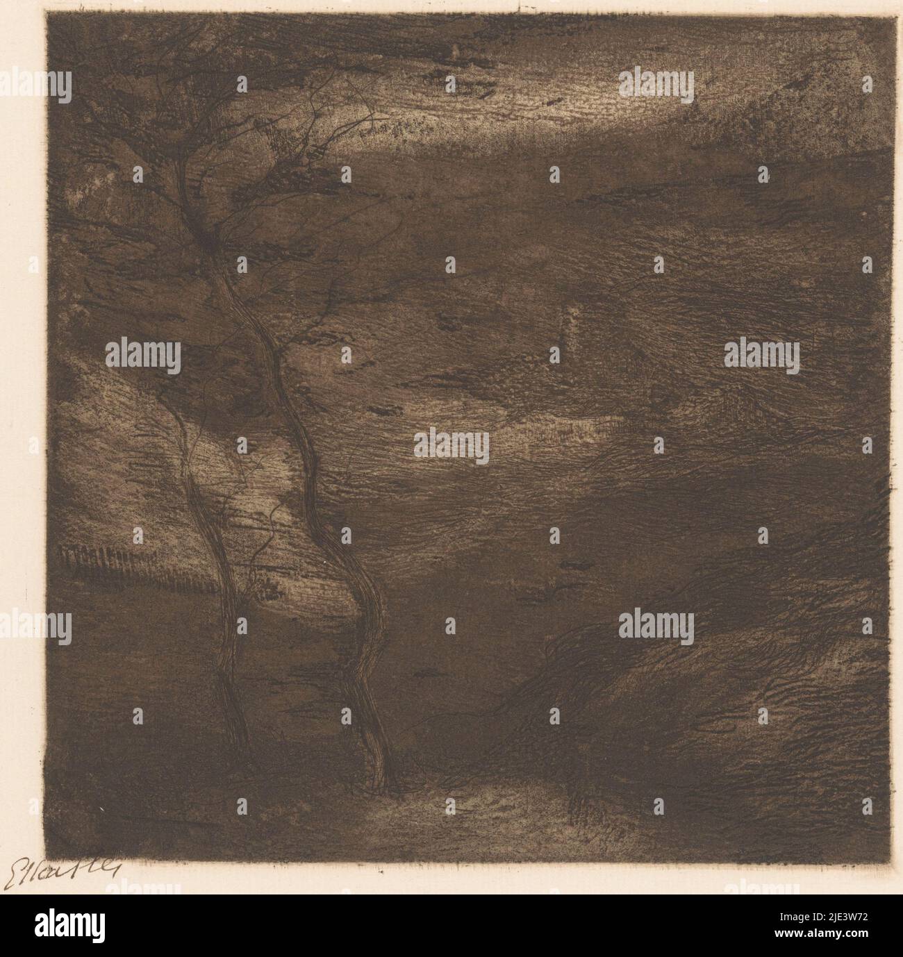 Due alberi in un paesaggio di montagna avvolta nel buio, serata nei Pirenei originale, tipografo: Eta Fles, (firmato dall'artista), 1867 - 1910, carta, punto secco, a 198 mm x l 198 mm Foto Stock