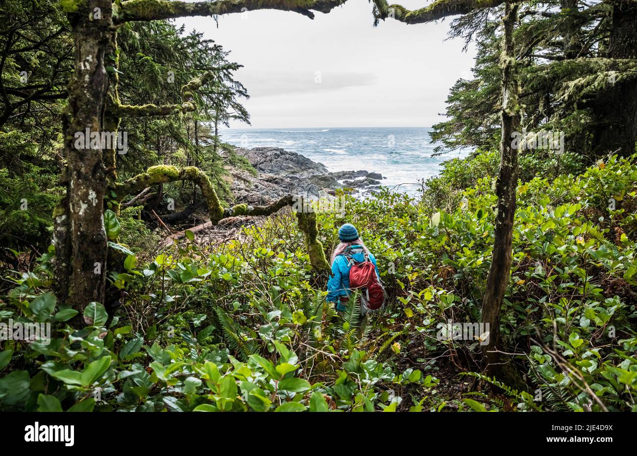 Una donna fuori giornata escursioni sul Wild Pacific Trail di Vancouver Island vicino Ucluelet, BC, Canada. Foto Stock